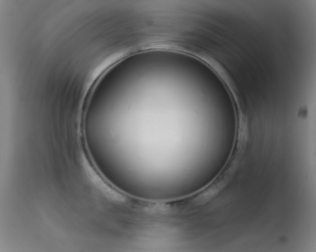 X0000113320957200909211152