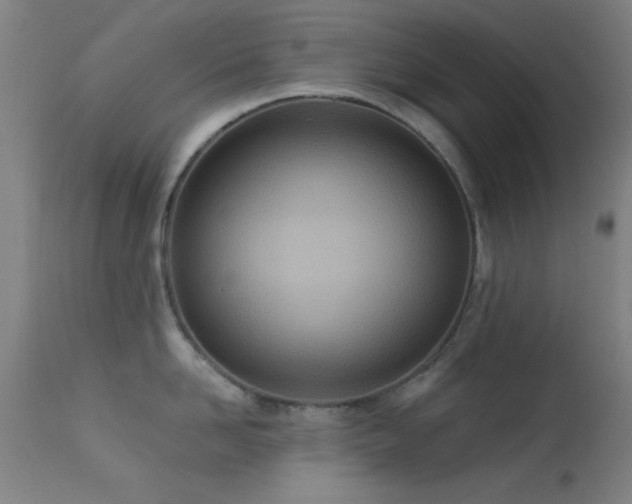 X0000113320958200909211152