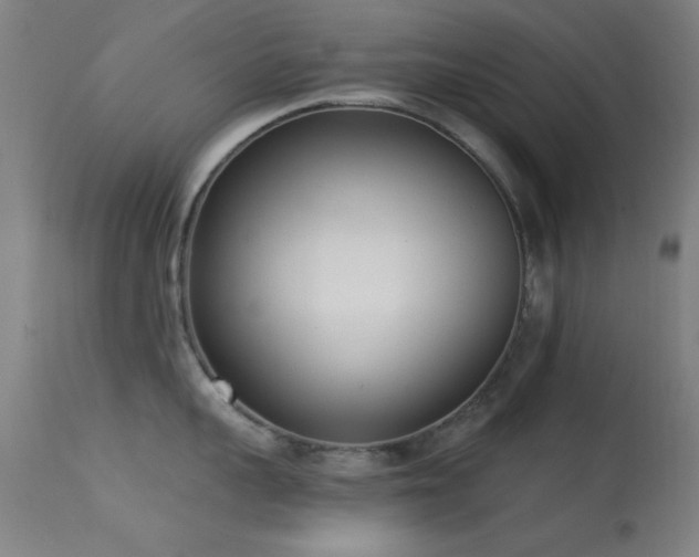 X0000113320959200909211152