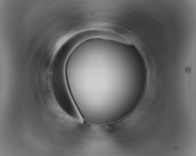 X0000113320960200909211152