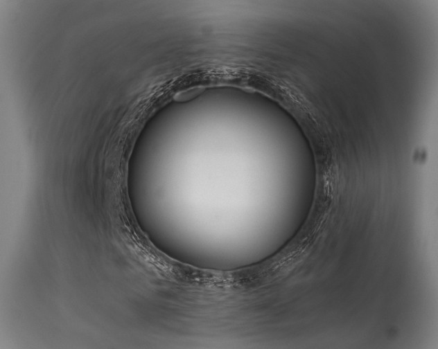 X0000113320961200909211151