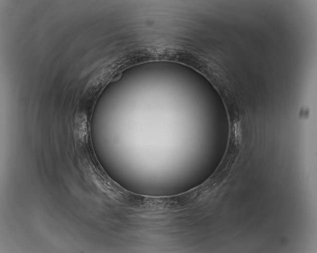 X0000113320963200909211151