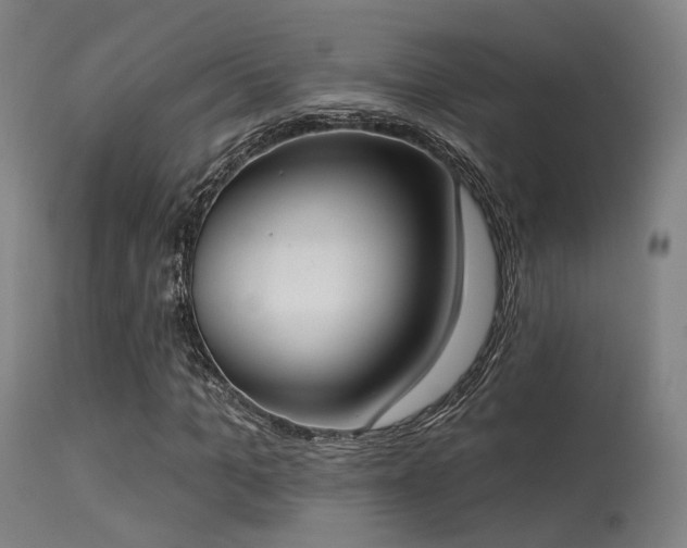 X0000113320965200909211151