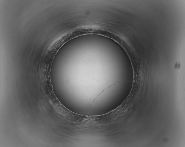 X0000113320967200909211151