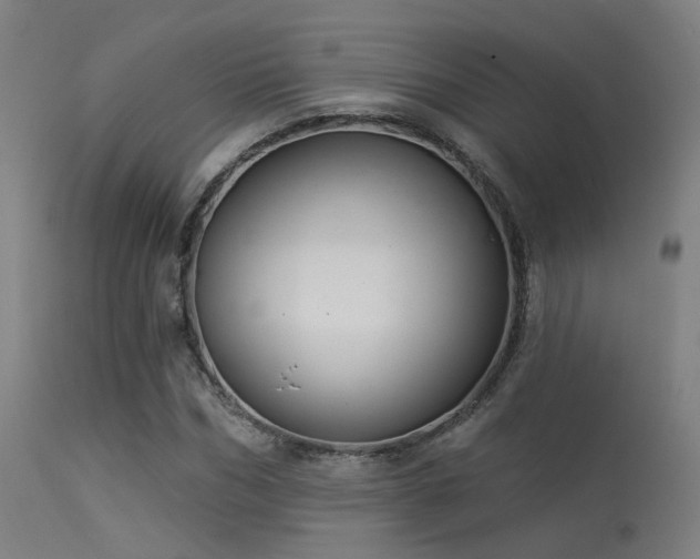 X0000113320970200909211151