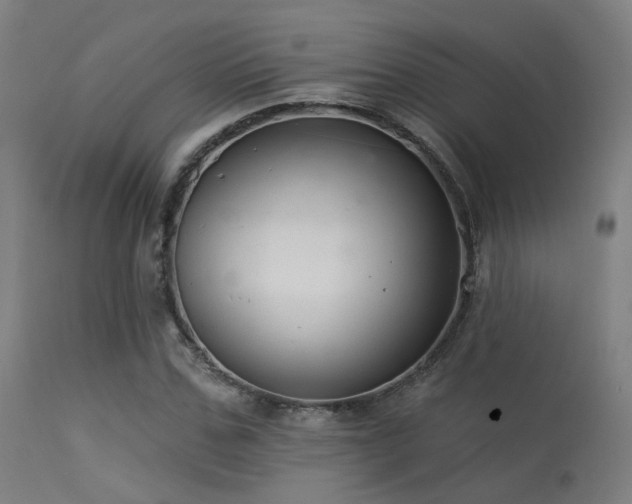 X0000113320971200909211151