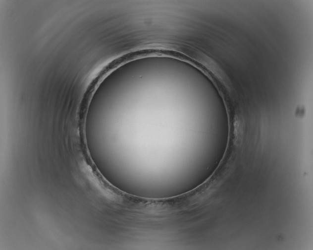 X0000113320972200909211151