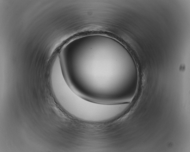 X0000113320973200909211151