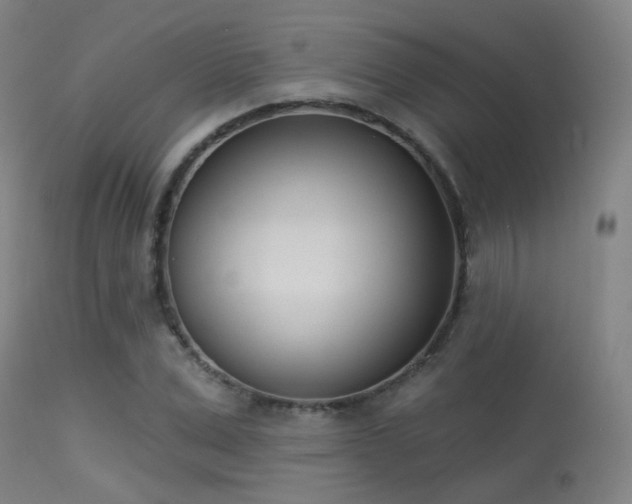 X0000113320975200909211151