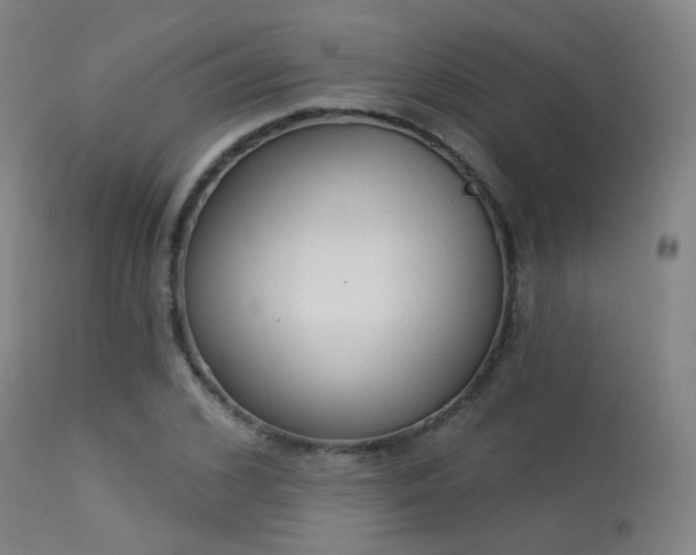 X0000113320976200909211151