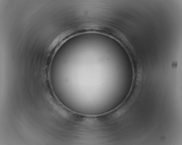 X0000113320978200909211151