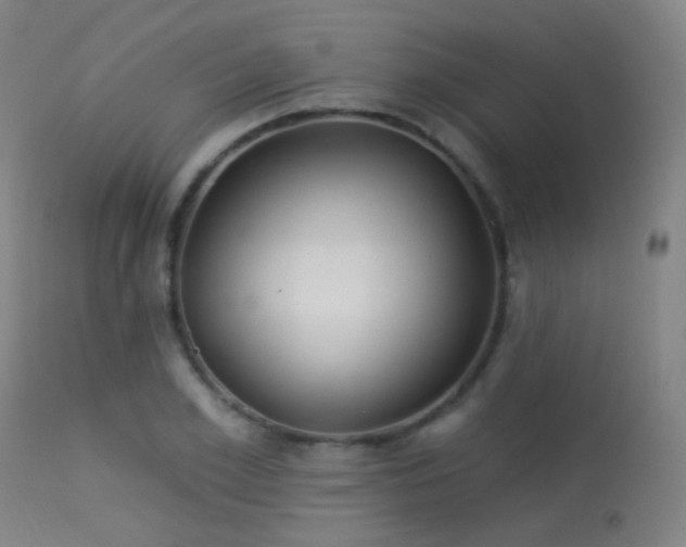 X0000113320981200909211151