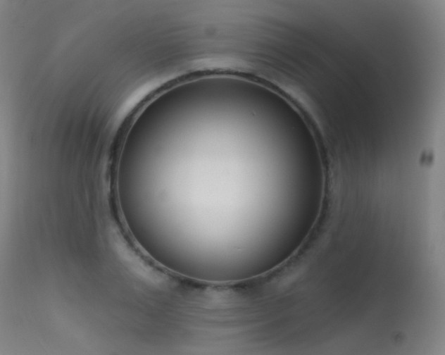 X0000113320983200909211151