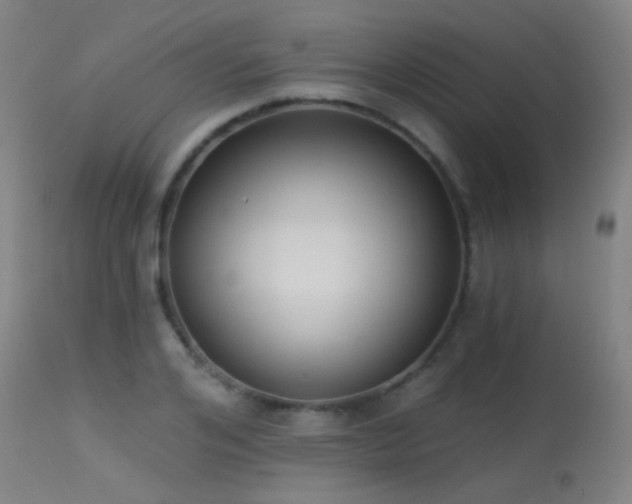 X0000113320984200909211151