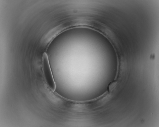 X0000113320985200909211151