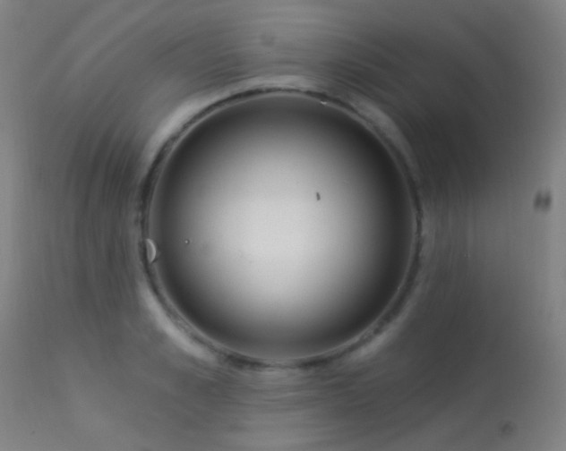 X0000113320989200909211151