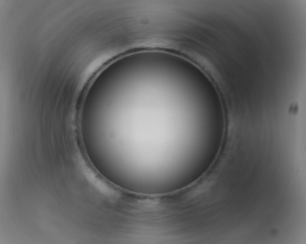 X0000113320990200909211151