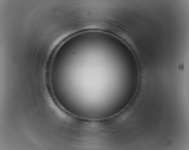 X0000113320991200909211151