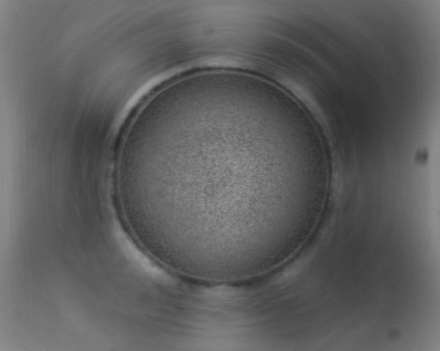 X0000113320992200909211151