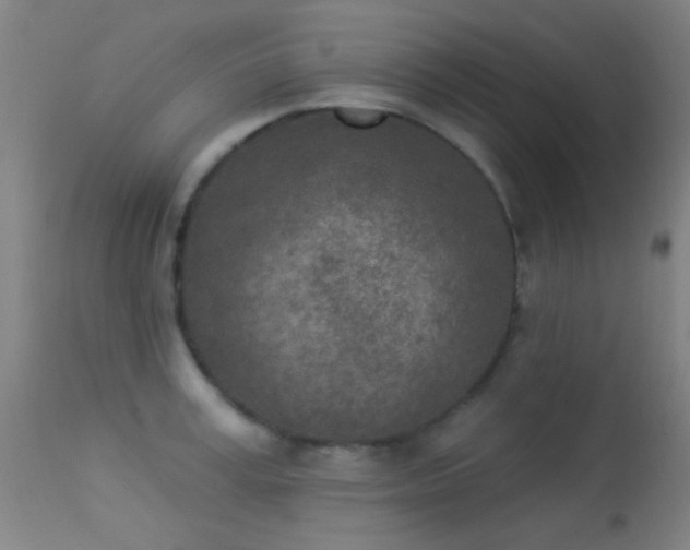 X0000113320995200909211151