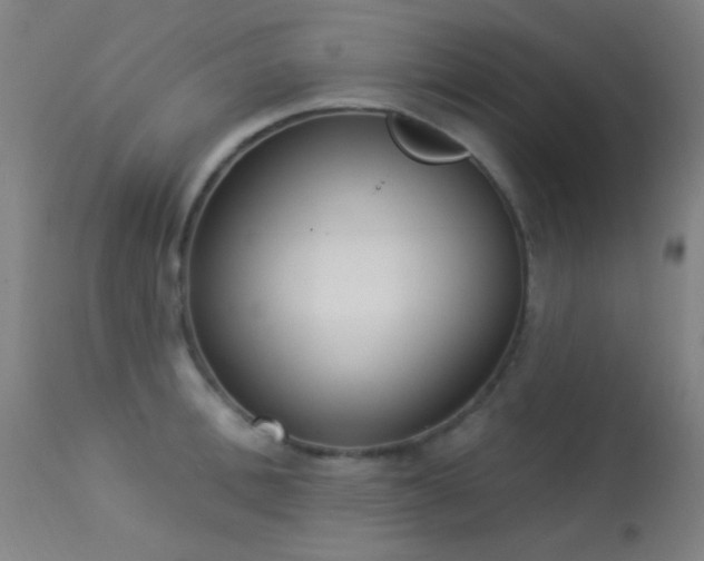 X0000113320996200909211151