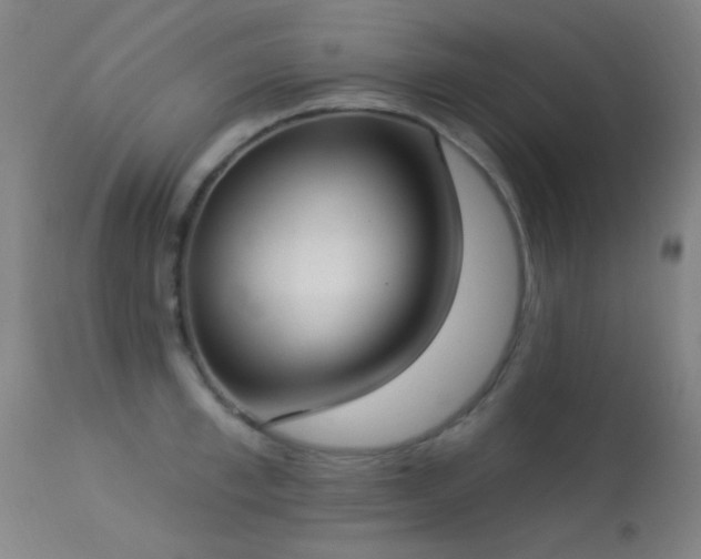 X0000113320997200909211151