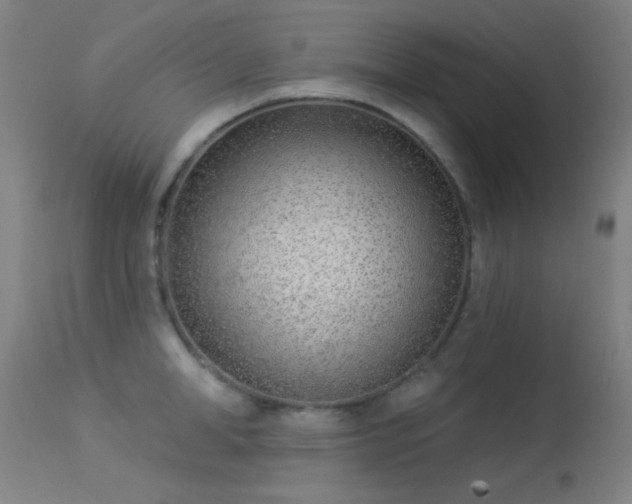 X0000113320998200909211151