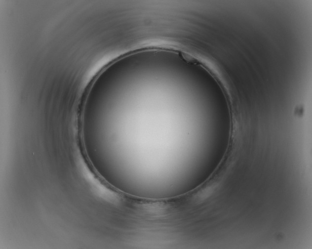 X0000113320999200909211151