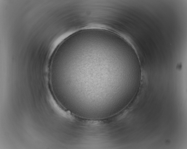 X0000113321003200909211151