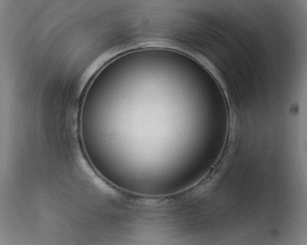 X0000113321005200909211151