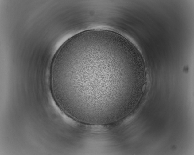 X0000113321007200909211151