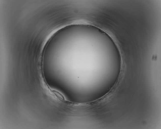 X0000113321008200909211151