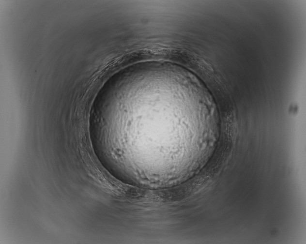 X0000113321009200909211150