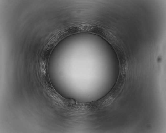 X0000113321010200909211150