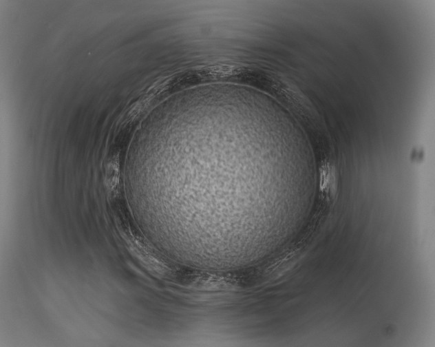 X0000113321011200909211150