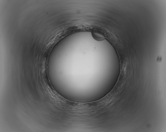 X0000113321012200909211150