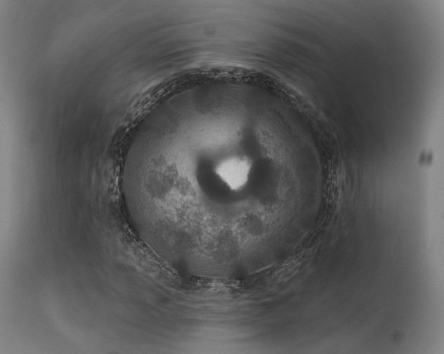 X0000113321013200909211150