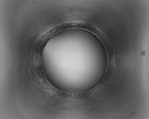 X0000113321014200909211150