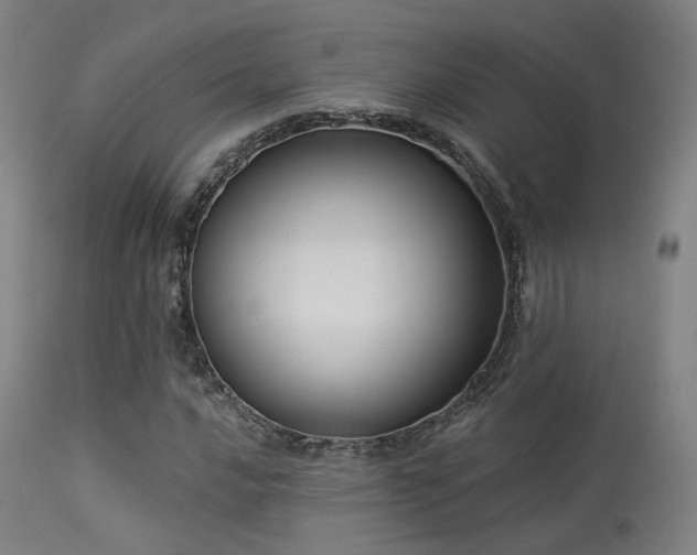 X0000113321016200909211150