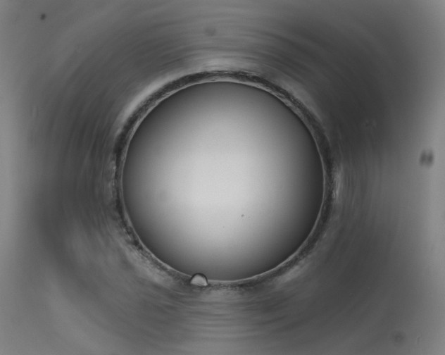 X0000113321021200909211150