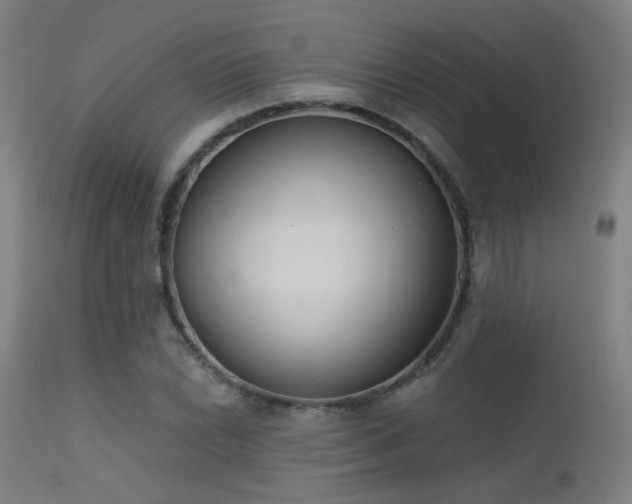 X0000113321022200909211150