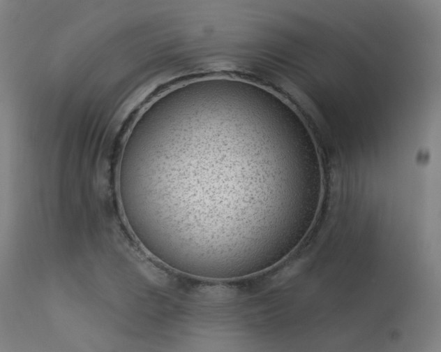 X0000113321023200909211150