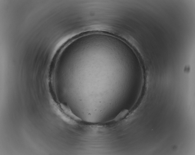 X0000113321024200909211150