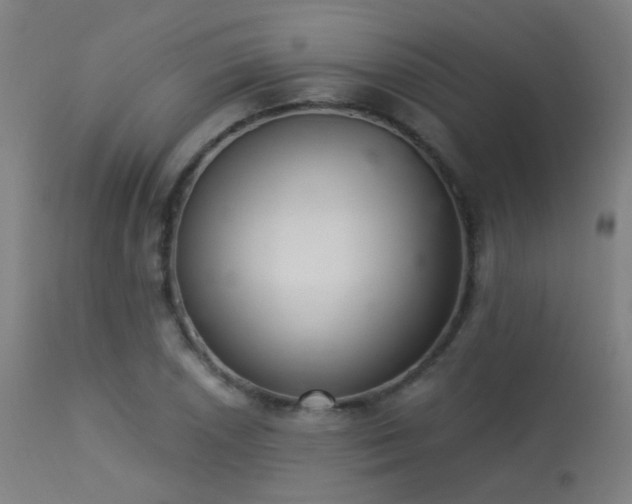 X0000113321026200909211150