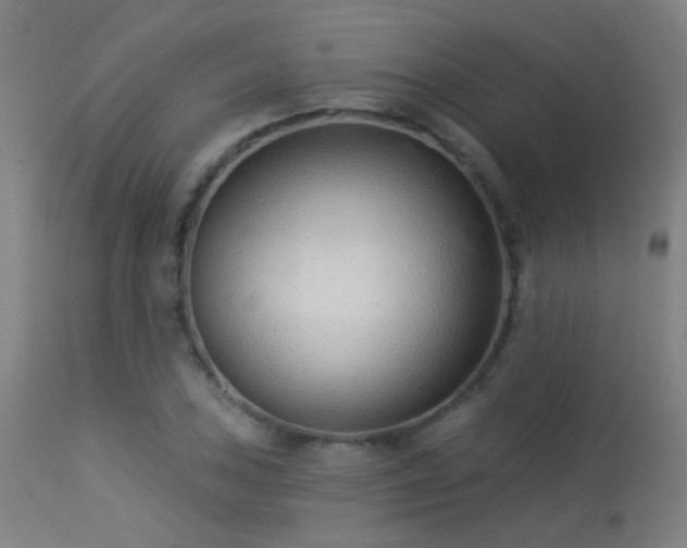 X0000113321027200909211150