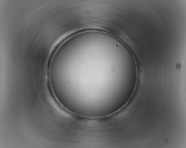 X0000113321028200909211150