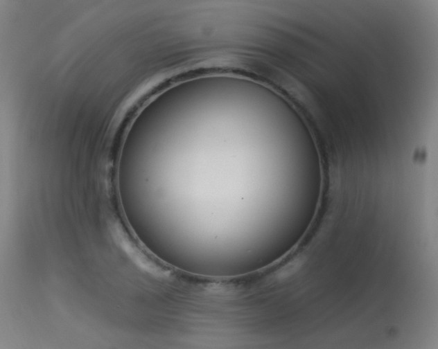 X0000113321029200909211150