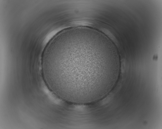 X0000113321031200909211150