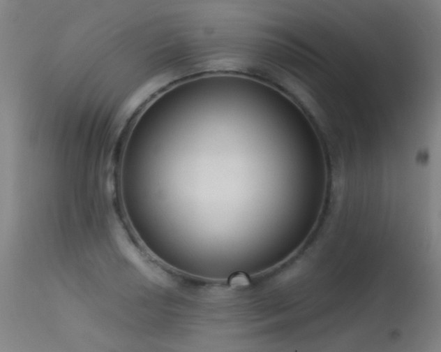 X0000113321034200909211150