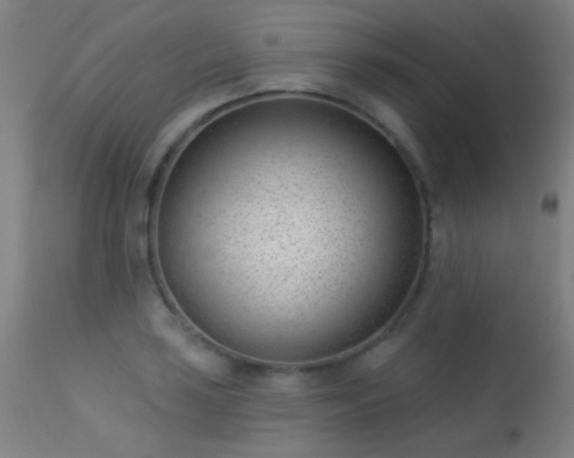 X0000113321035200909211150